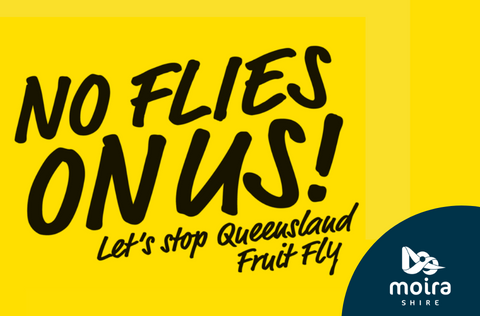 Business - Queensland Fruit Fly Project.png