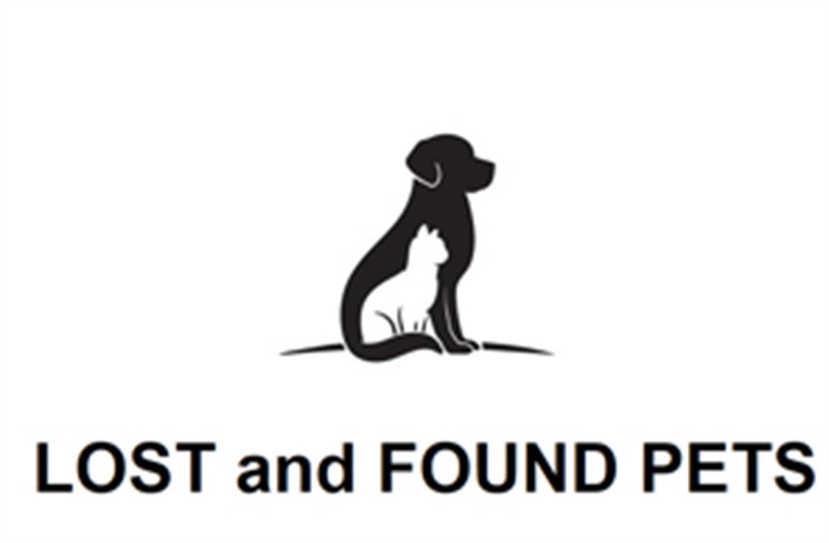 lost-found-and-impounded-pets-and-livestock-moira-shire