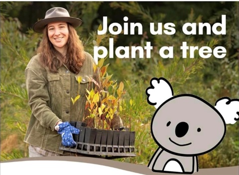 tree planting.jpg