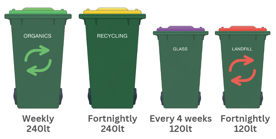 4 Bins and frequency and size.PNG