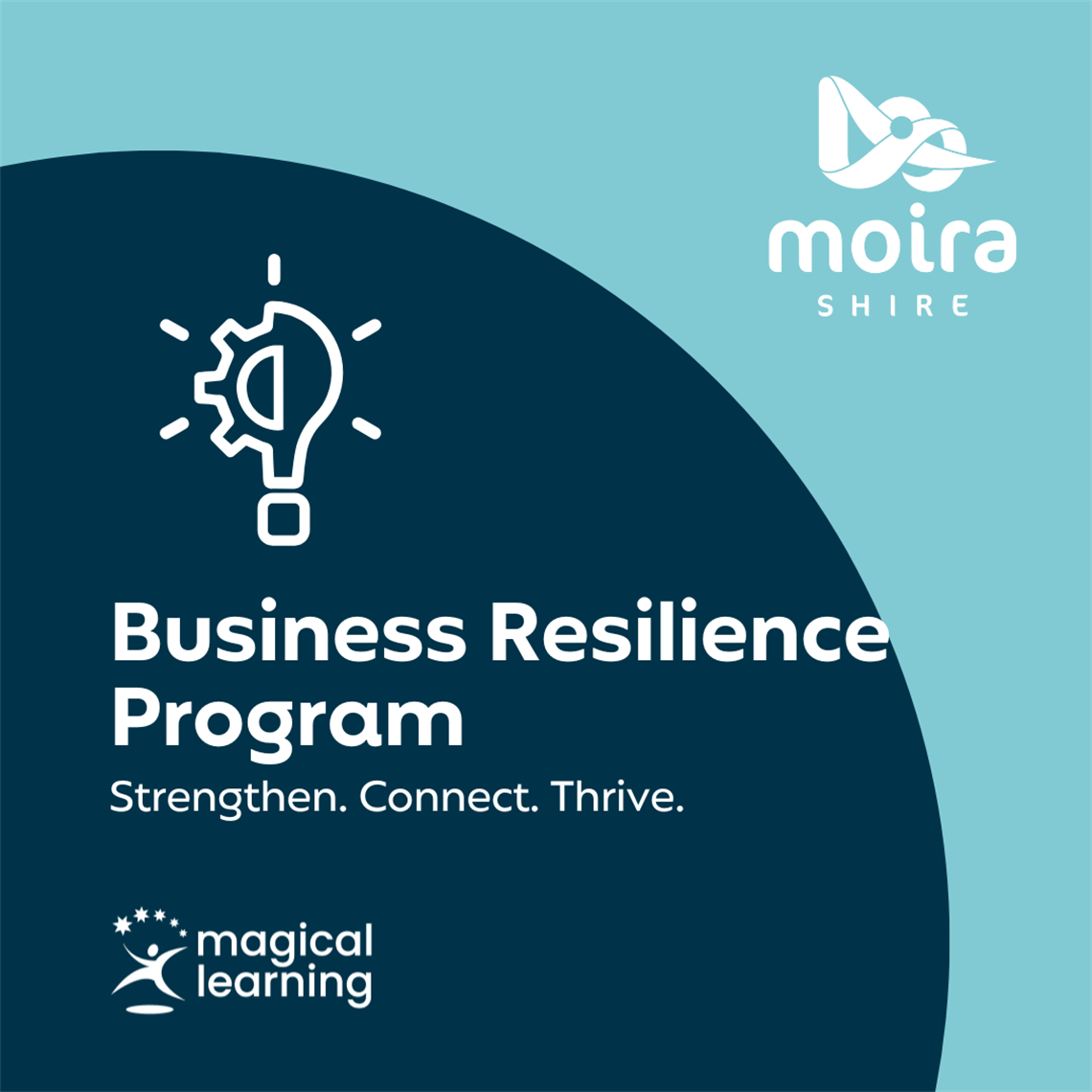 Business-Resilience-Program-2.png