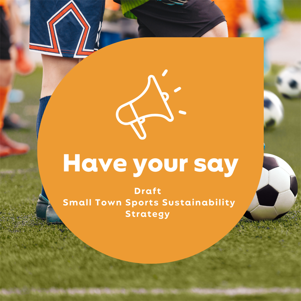 Draft-Small-Town-Sports-and-Sustainability-Strategy-Have-Your-Say.png